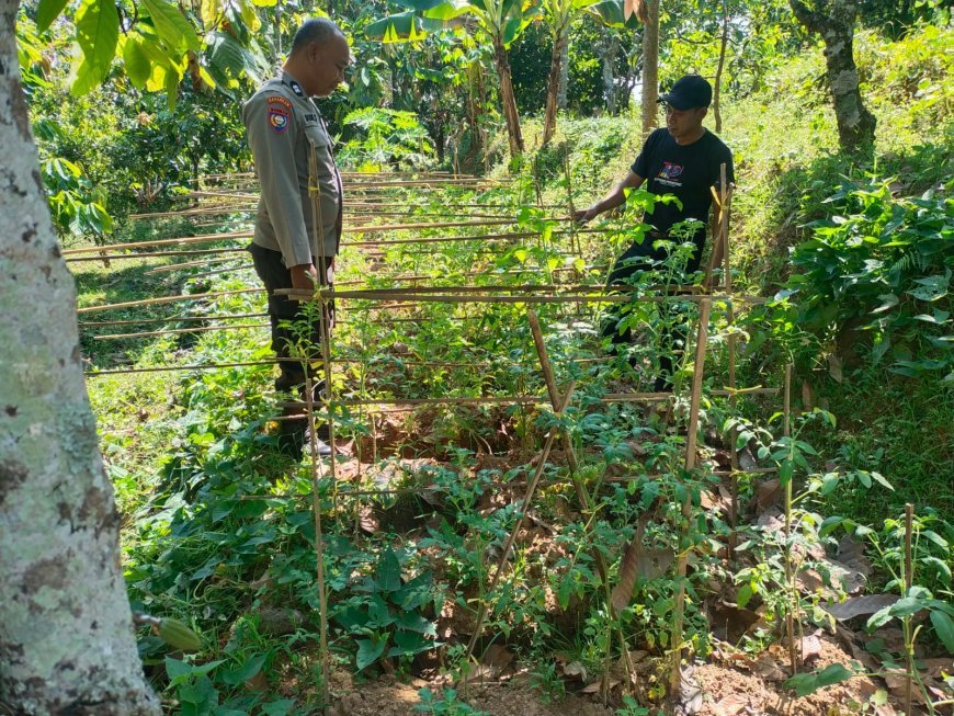Bhabinkamtibmas Desa Durenan Motivasi Masyarakat Kembangkan Kebun Sayur Rumahan