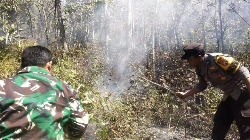 Respon Cepat Call Center 110 Polres Ngawi, Kebakaran Lahan di Bukit Gogor Sine Berhasil Dipadamkan